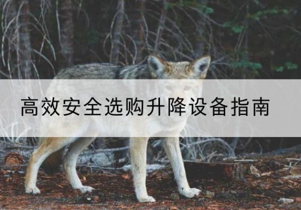 新民升降货梯厂家推荐-*安全选购升降设备指南
