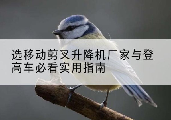 新民电动升降机厂家-选移动剪叉升降机厂家与登高车必看实用指南